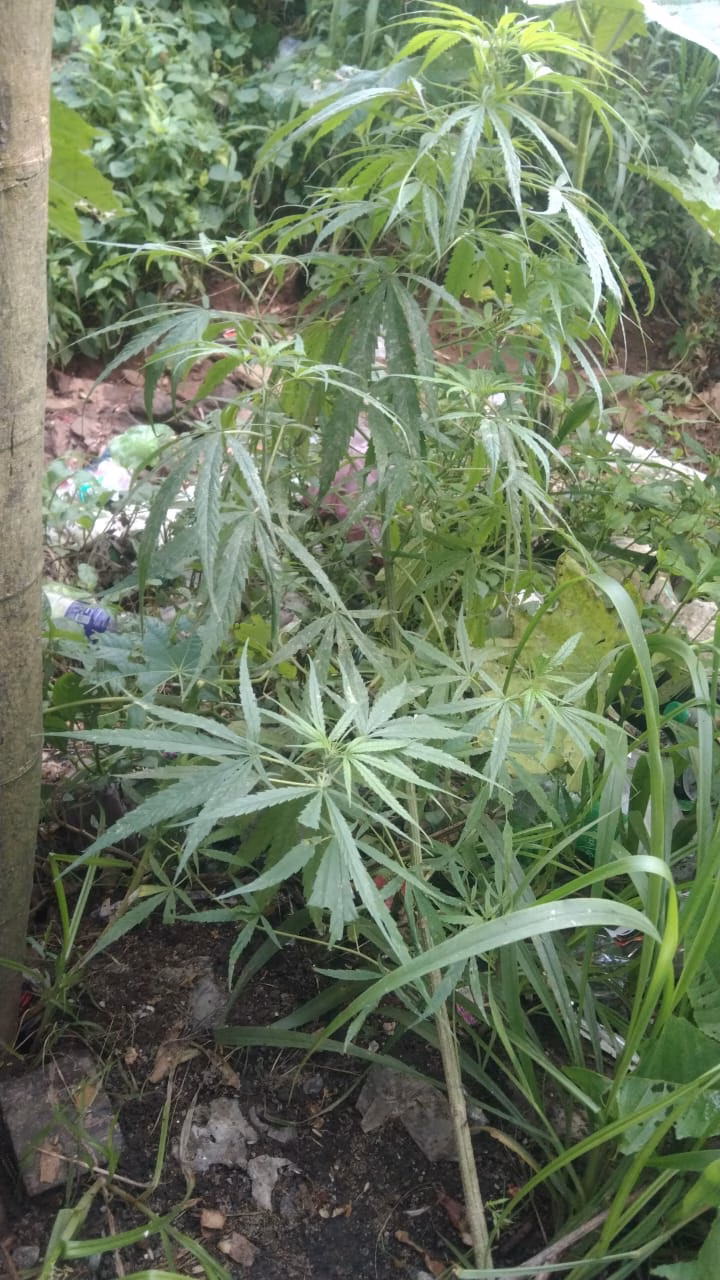 IMG 20260713 WA0188